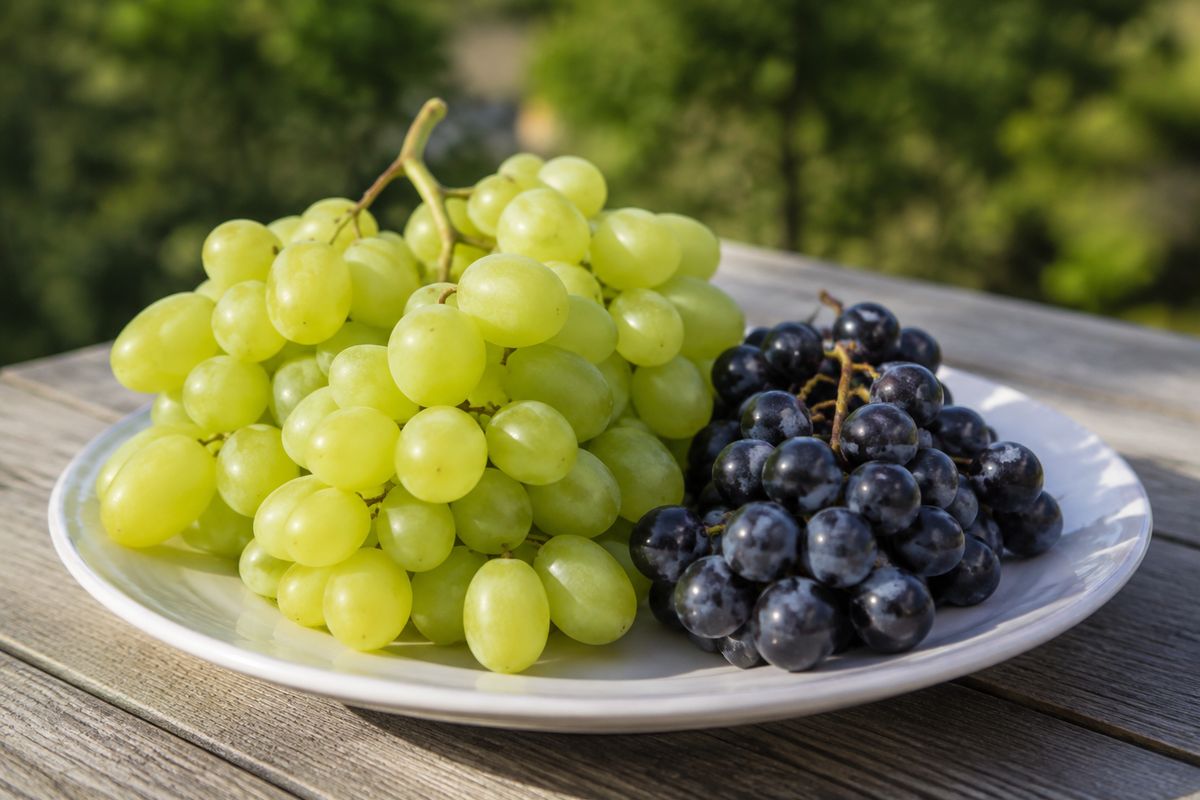 Uvas verdes sin semillas y un racimo menor de uvas oscuras juntos sobre un plato blanco de cerámica
